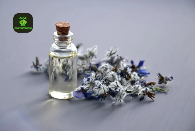 Kit Via Aroma Aromatizador + Essências — tudo o que você precisa para começar na aromaterapia