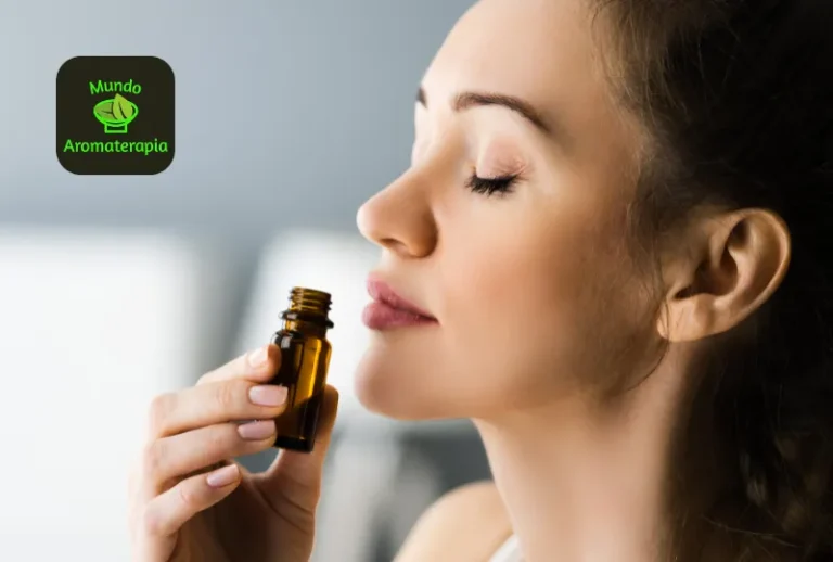 Via Aroma Kit Experience 10 Essências — coleção perfeita para variar aromas todo dia