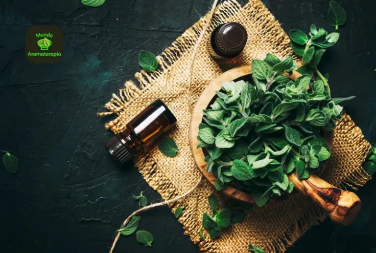 Óleos Essenciais DoTerra Para Que Serve: Guia Rápido e Completo para Iniciantes