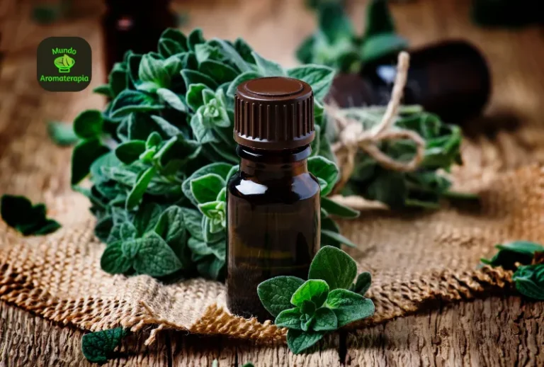 Bom Ar Refil 2×16 ml — reposição rápida com boa intensidade