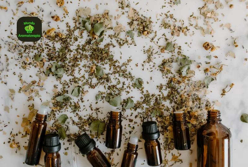 Aromatizador de Varetas Luiggi Presentes — elegância no ambiente e perfume marcante